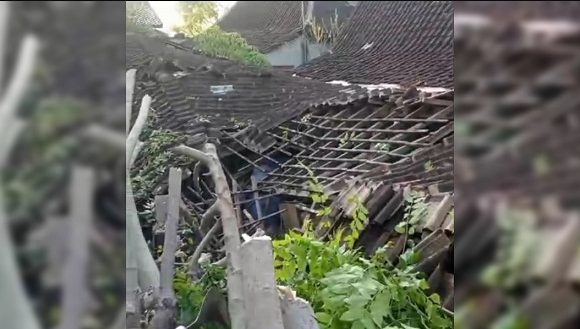 Pohon Berukuran Besar Tumbang, Rumah Ambruk