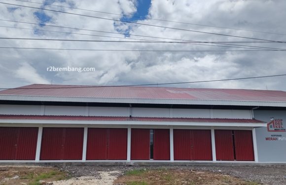 Mengangkat PPPK Baru Atau Tidak ?? Pemkab Rembang Ungkap Penugasan Koperasi KDKMP