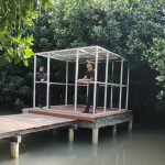 Hutan Bakau di Dusun Kaliuntu, Desa Pasar Banggi, Rembang masih tetap menarik untuk dikunjungi.