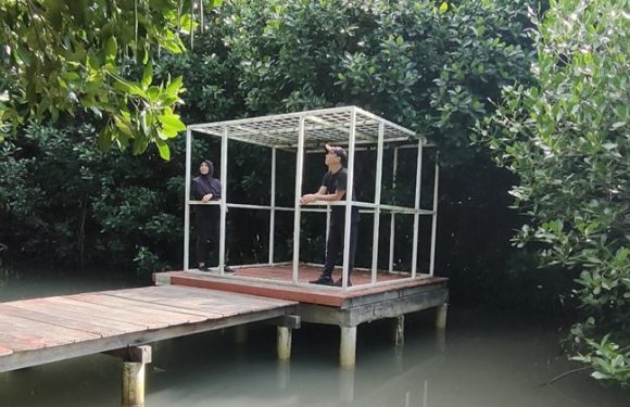 Sempat Merasa Dirugikan Oleh Content Creator, Pengelola Hutan Bakau Ceritakan Kendala Yang Dihadapi