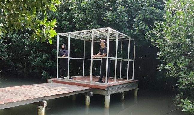Sempat Merasa Dirugikan Oleh Content Creator, Pengelola Hutan Bakau Ceritakan Kendala Yang Dihadapi