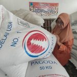 Pegawai gudang Primkopti Rembang menunjukkan kedelai impor yang harganya terus naik, Rabu (03 Juni 2026).