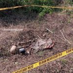 Lokasi temuan tengkorak, tulang, kaos dan sandal berwarna biru di hutan sebelah selatan Dusun Karangrejo (Jurangjero), Desa Sukorejo Kecamatan Sumber, Senin (01 Juni 2026).