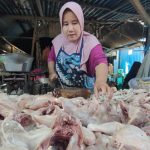 Aktivitas pedagang ayam potong di Pasar Rembang, Jum’at (24/07). Semenjak MBG aktif lagi, harga ayam potong meroket.