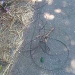 Kabel wifi yang memicu kecelakaan di jalan raya Desa Sekarsari, Kecamatan Sumber, Kabupaten Rembang, masih berserakan di pinggir jalan.