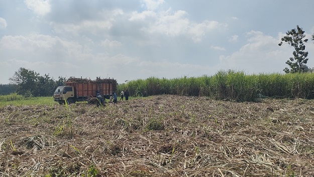 Rembang Diminta Hati-Hati, Soal Pabrik Gula!! Ternyata Ini Alasannya