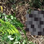 Sesosok mayat laki-laki ditemukan tengkurap di pinggir sungai Desa Dadapan, Kecamatan Sedan, Minggu (16/08).