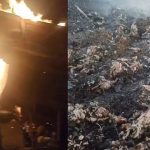 Kebakaran galangan kapal di Kelurahan Pacar dan bangkai ayam mati terpanggang dalam kebakaran kandang ayam di Desa Waru.
