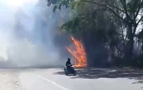 Asap Pekat!! Jarak Pandang Terbatas, Kendaraan Takut Melintas (Kebakaran Lahan Pantura Tanjungan Kragan)