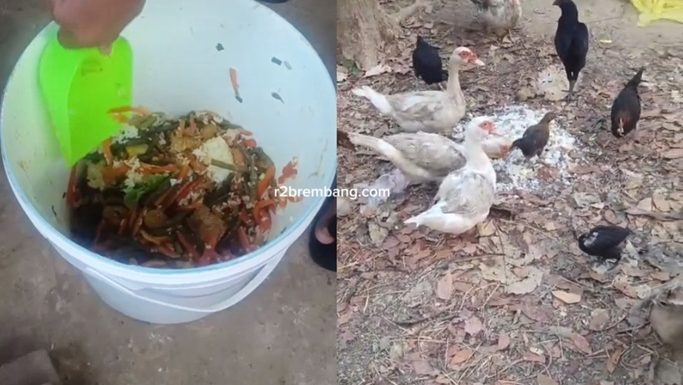 Setiap Hari Tembus 5 Kg, Dibawa Pulang Untuk Pakan Ayam (MBG Terbuang, Korwil SPPG Diam)