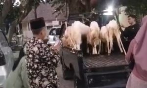 Kambing yang diamankan Polsek Sluke, sebagai barang bukti kasus pencurian.