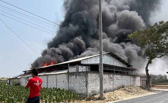 Gudang Terbakar Milik Kepala Desa, Isi Bagian Belakang Tak Disangka-Sangka (TKP Desa Japeledok Kec. Pancur)