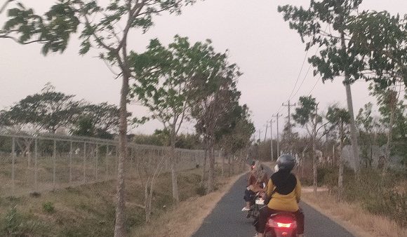 Polisi Tahan 1 Tersangka, Pencurian Di Area Makam Keluarga PT. Djarum