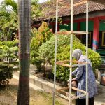 SMP N 1 Pancur mempertahankan lingkungan tetap hijau di tengah musim kemarau.