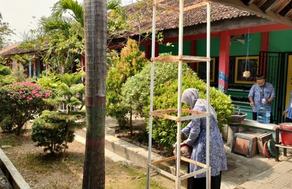 Strategi Sekolah Adiwiyata Tetap Hijau, Di Tengah Kemarau Panjang (SMP N 1 Pancur Punya Cara Khusus)
