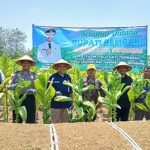 Panen raya tembakau di Desa Jatihadi Kecamatan Sumber, Rabu (21/10). Tampak Bupati Rembang, Harno hadir dalam kegiatan tersebut.