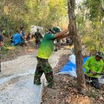 Penebangan pohon di sekitar akses jalan beton, program TMMD reguler ke-130 di Desa Ngajaran Kecamatan Sale.